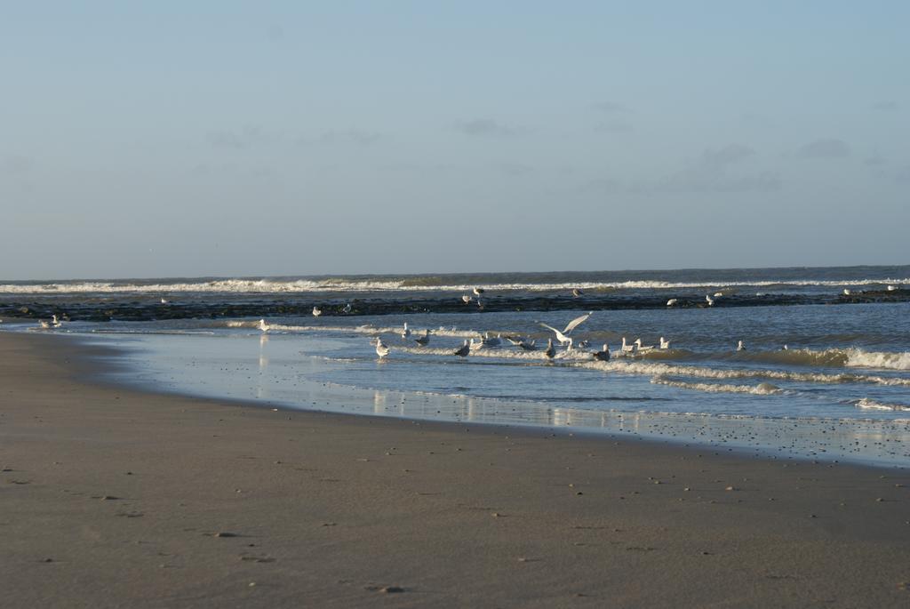 De Herbergh Van Flielant Vlieland Eksteriør bilde